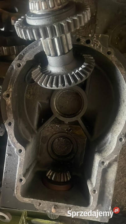 Claas RU 450 Claas RU 600 Tryby Przekładni Pozostałe Jastrzębniki sprzedam