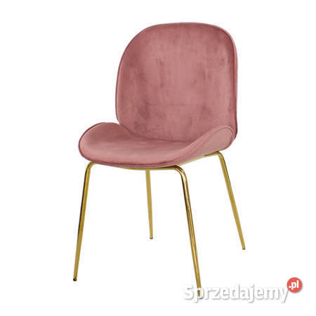 Różowe welurowe krzesło na złotych nogach