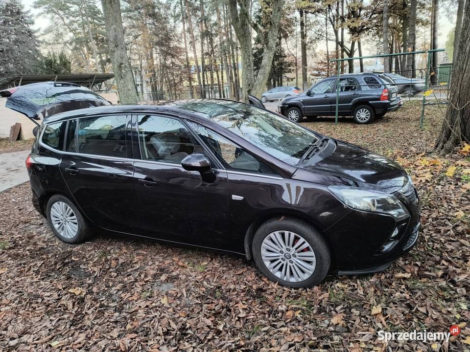 Opel Zafira C 2015 Pionki