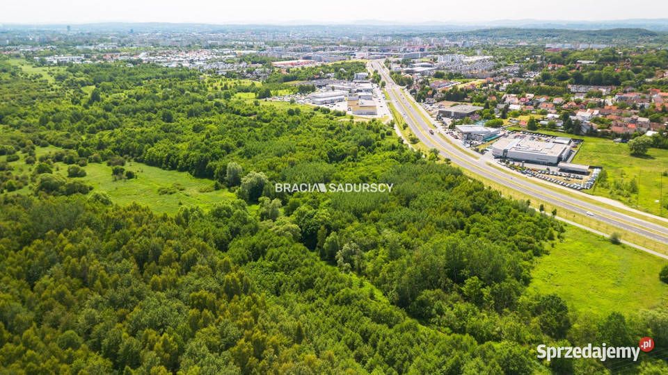 sprzedaży działki 54094m2 Kraków Jasnogóska małopolskie