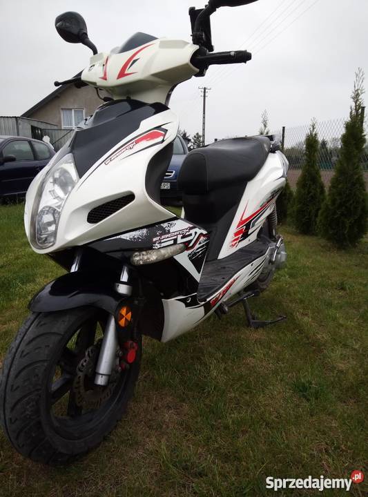 barton firefox 50 Święcice sprzedam