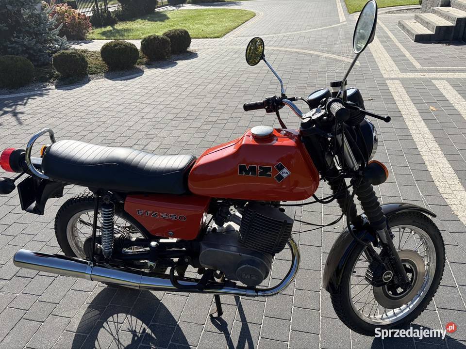 Mz