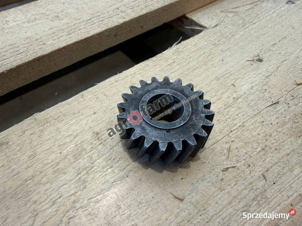 Koło zębate Z20 Case 1255XL dolnośląskie Byków