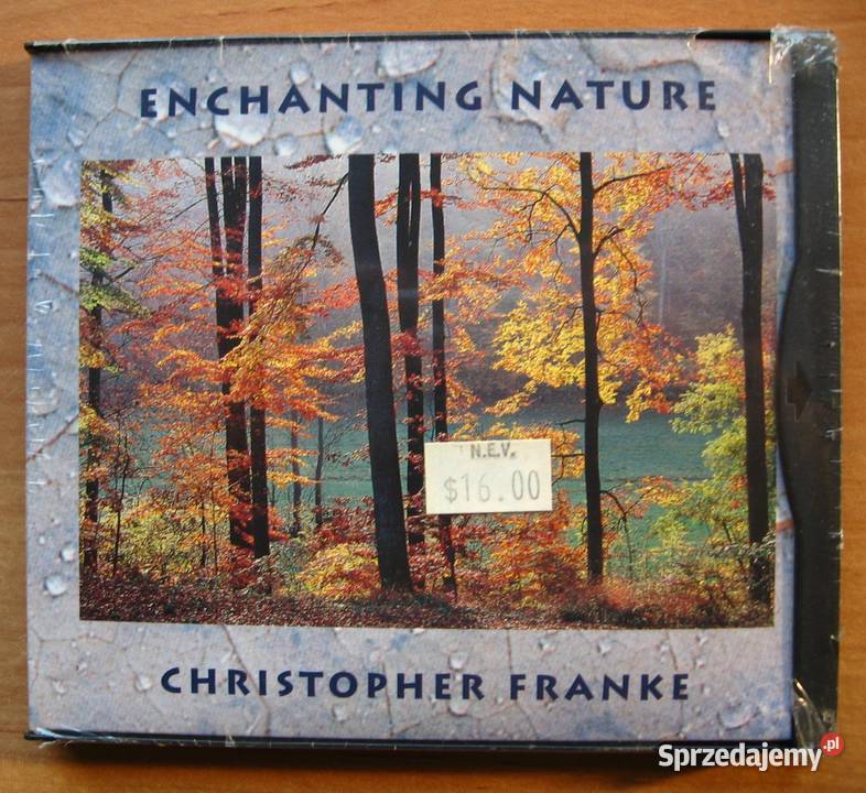 Christopher Franke exTangerine Dream Enchanting