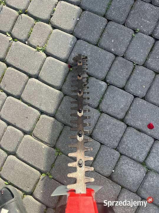 Nożyce elektryczne do żywopłotu krzewów Einhell małopolskie