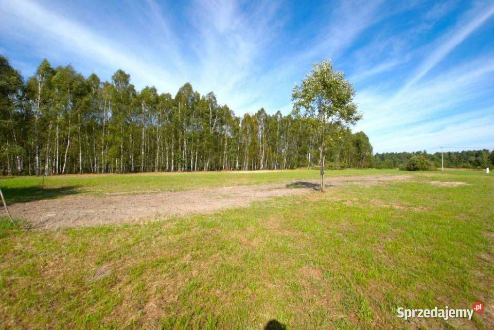 sprzedaży działki Daleszyce 1251m2