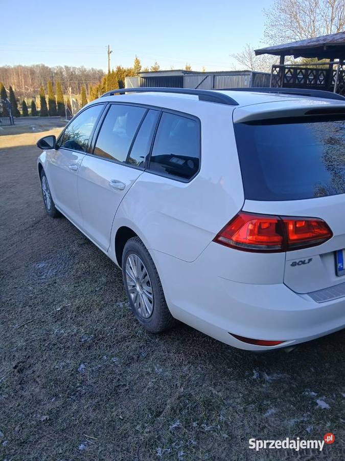 Volkswagen Golf VII Kombi 16 TDI Zagrodno