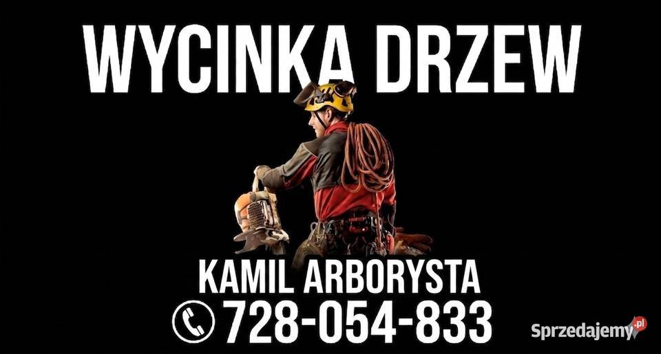 Wycinka drzew Lubliniec ogród