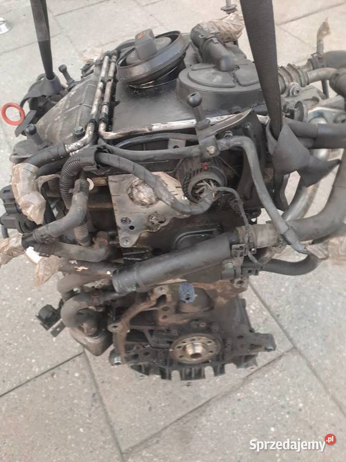 Seat Altea 20 TDi 140 silnik kompletny kod BKD Silniki kompletne Jastrzębie-Zdrój