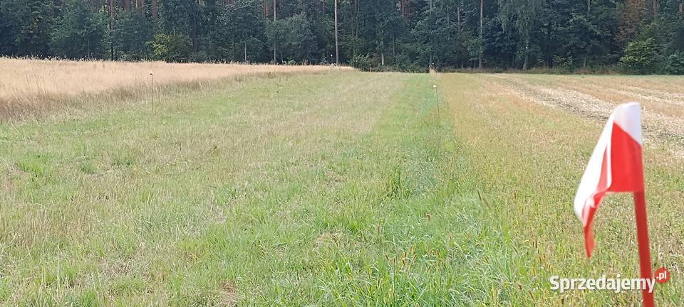 Twoje miejsce na Ziemi działki budowlane Porządzie