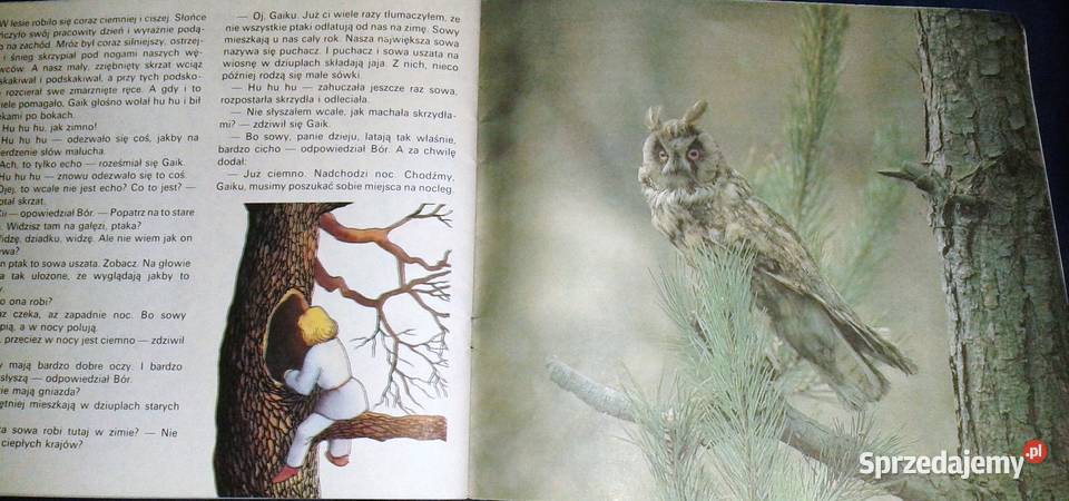 Bór i Gaik w zimowej szacie Marek Pietrzak Chełm