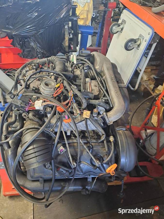 Sprzedam silnik audi a4 b5 25 v6 tdi 2000 osobowe Gorzów Wielkopolski