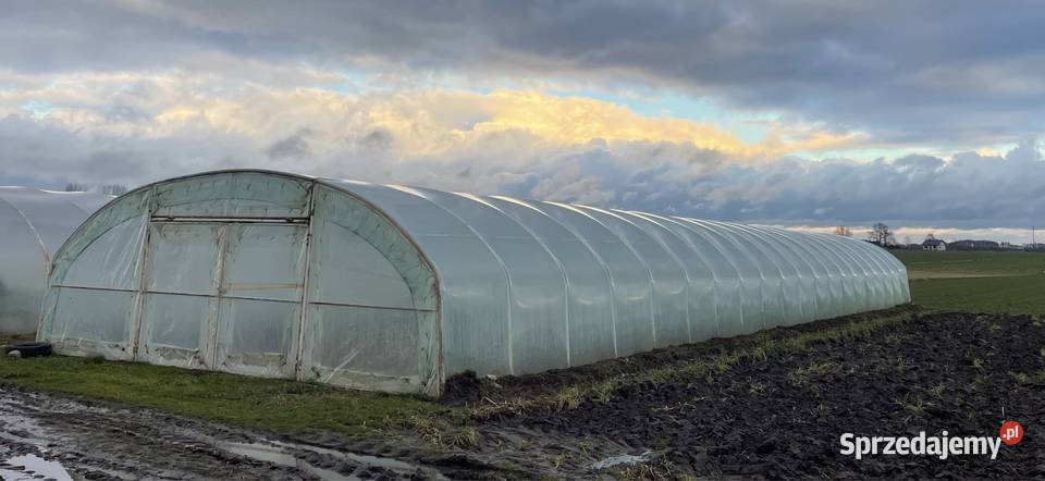 Tunel foliowy 30x7 łódzkie Kutno