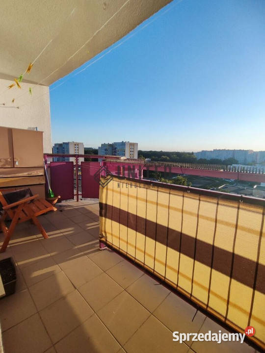 Pałuckiej Rozkład Balkon Piwnica