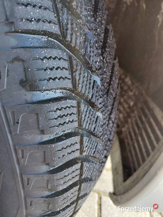 Renault Scenic 18 LPG Climatronic Brak rdzy Rembieszów