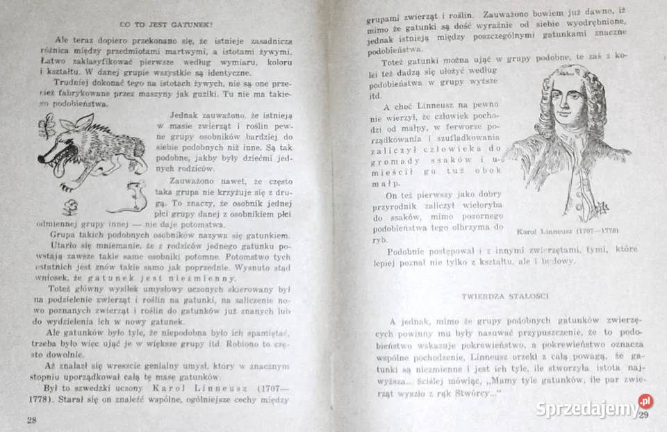 W poszukiwaniu rodowodu D Jarząbek Kultura i Rozrywka sprzedam