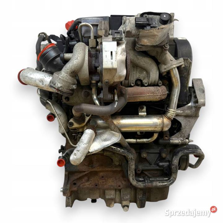 SILNIK BSU VW Caddy III 19 TDI 75 diesel Chełm