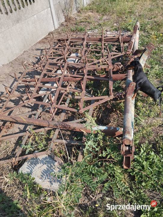 Sprzedam brony Grudziądz 5 Wilkowa