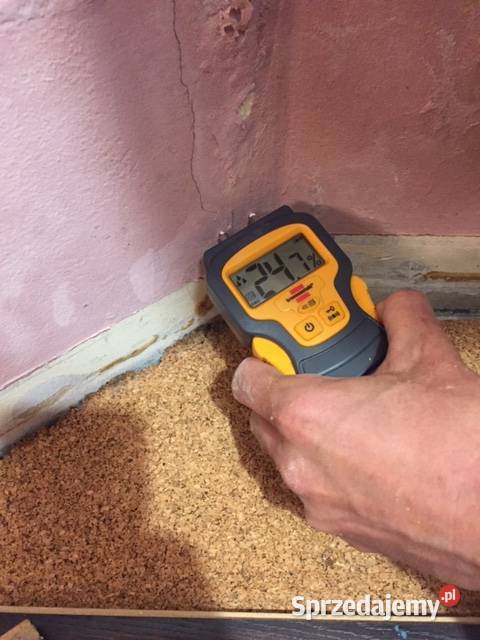 Wykrycie wilgoci pleśni grzyba pomiary Wrocław Pozostałe usługi