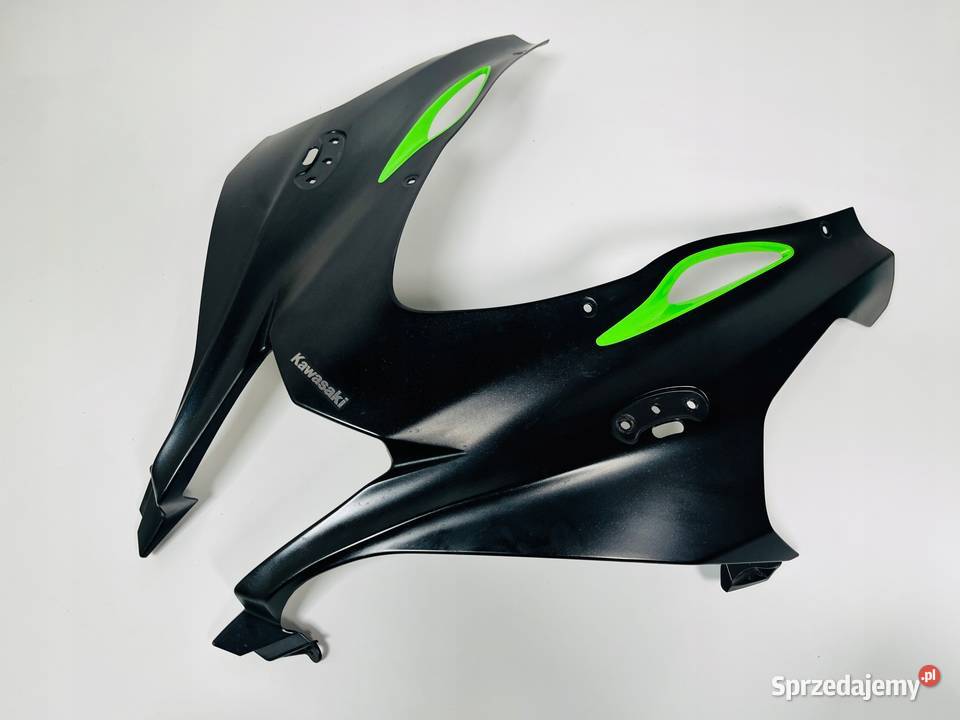 KAWASAKI Ninja ZX10R 1620 Czasza Czaszka Owiewka