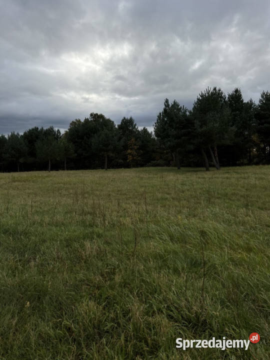 Zielona enklawa pod Wrocławiem 1000 m Prąd MPZP