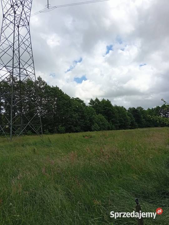 Sprzedam działkę rolną zachodniopomorskie Staniewice sprzedam