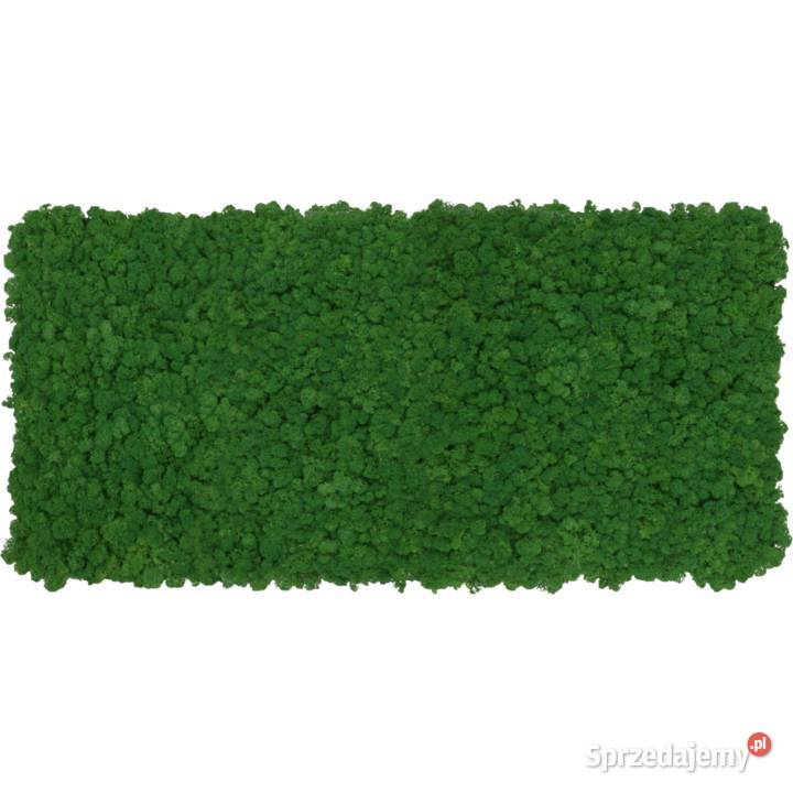 Panel z chrobotka PREMIUM Forest Green na wymiar Panele dekoracyjne Czarków sprzedam