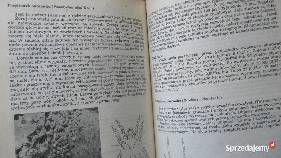 Ochrona roślin rolnictwo uprawa szkodniki ogród łódzkie