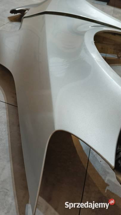 Błotniki golf plus lewy prawy LA7W Rok produkcji 2008 Błotniki