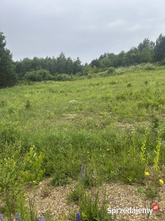 Sprzedam Zdów