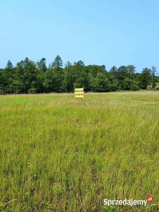 Działka z linią brzegową jeziora Wygryny w