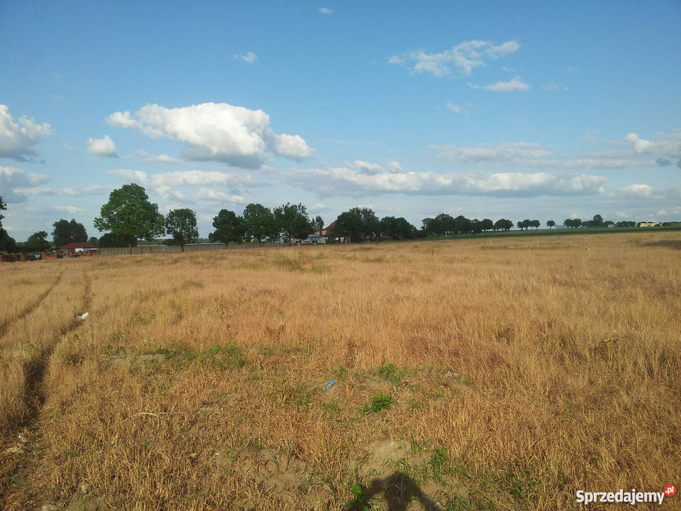 Działki budowlane w Witkowie koło Stargardu