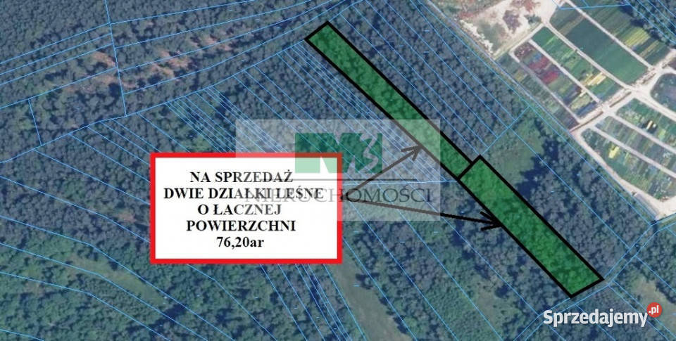DO SPRZEDAŻY DWIE DZIAŁKI LEŚNE W GIEDLAROWEJ Giedlarowa