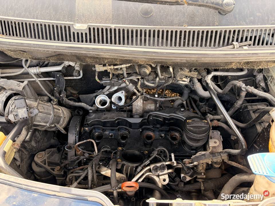 VOLKSWAGEN Transporter T5 20 BiTDi 180 VP 7