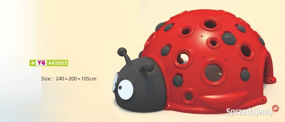 Biedrona skałka do wchodzenia dzieci dolnośląskie Świdnica