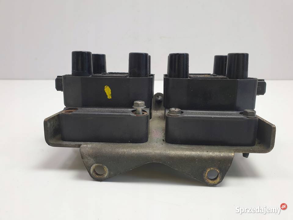 Range Rover P38 46 V8 0221503407 lubelskie Rudka