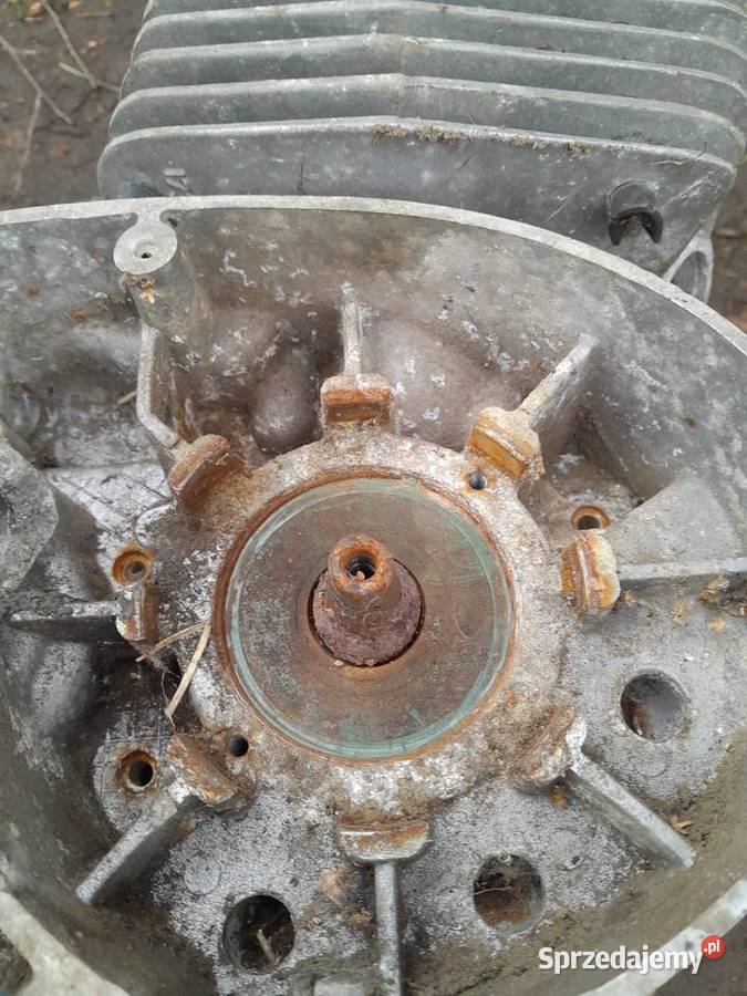 Silnik MZ TS 250 5 biegowy dolnośląskie Świerzawa