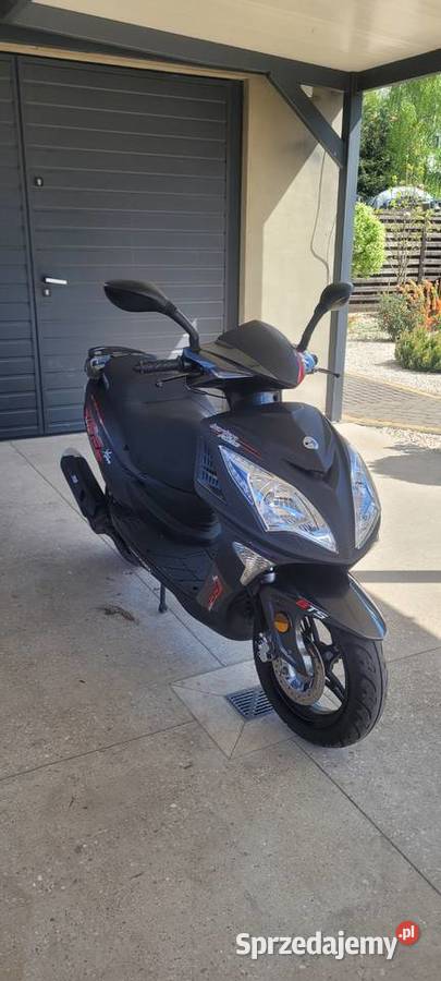 BARTON FALCON XXL mazowieckie Wolica