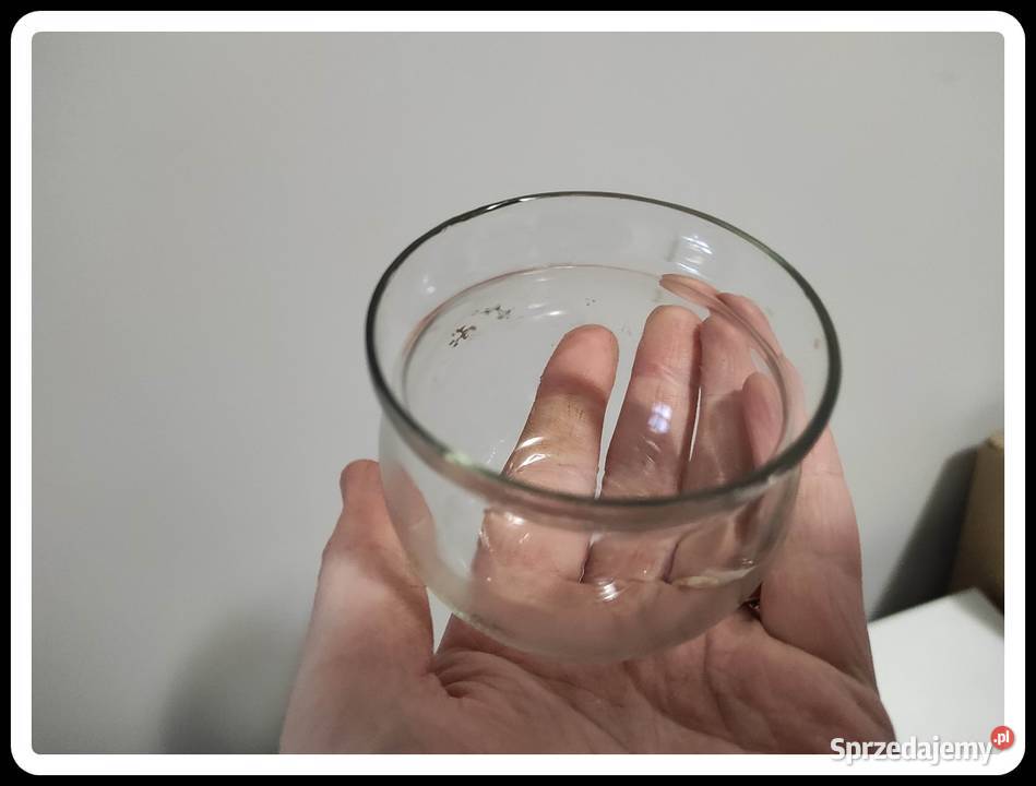 Kubki kubeczki małe 2 sztuki sprzedam