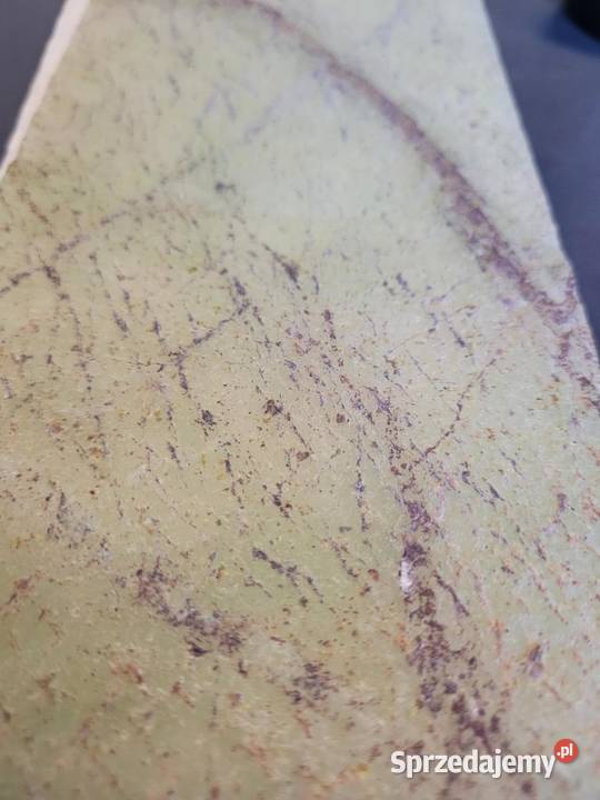 Fornir Kamienny Transparentny Rainforest Green Gdynia