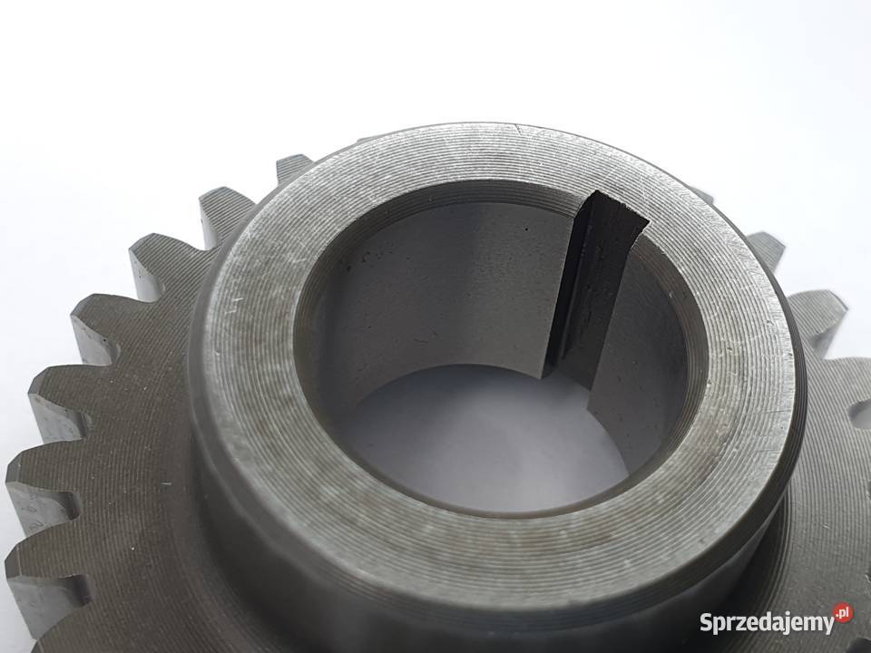 Tryb Walu Zebatka Beta 250 łódzkie Łódź