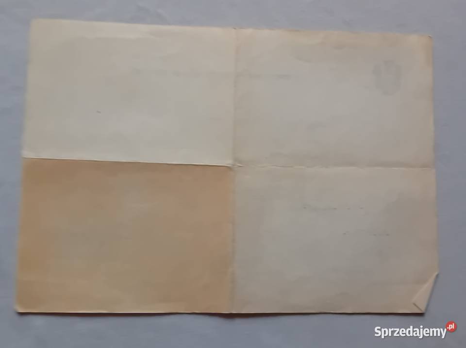 ZWoj TKKF Szczecin 1970r Zaświadczenie o ukończ Koźminek sprzedam