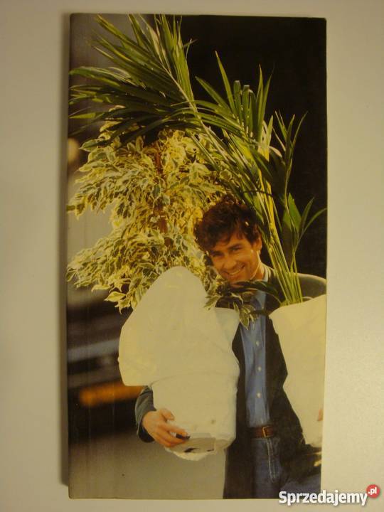 POTPLANTEN POT PLANTS 1991 92 Elbląg