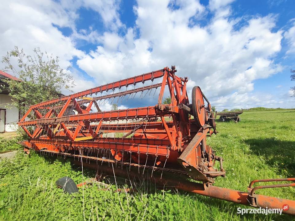 Sprzedam Bizona Z056 Janowiec Kościelny