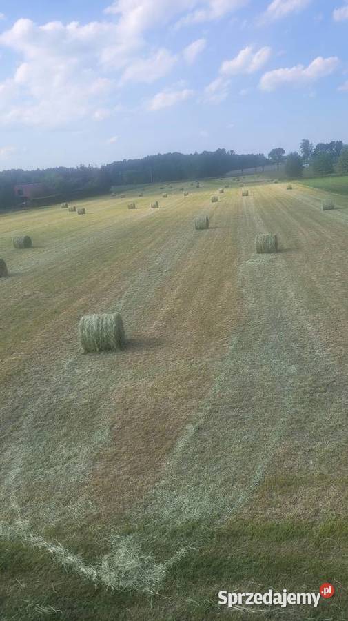 Sprzedam siano 2026 Trawy, słoma Skierniewice