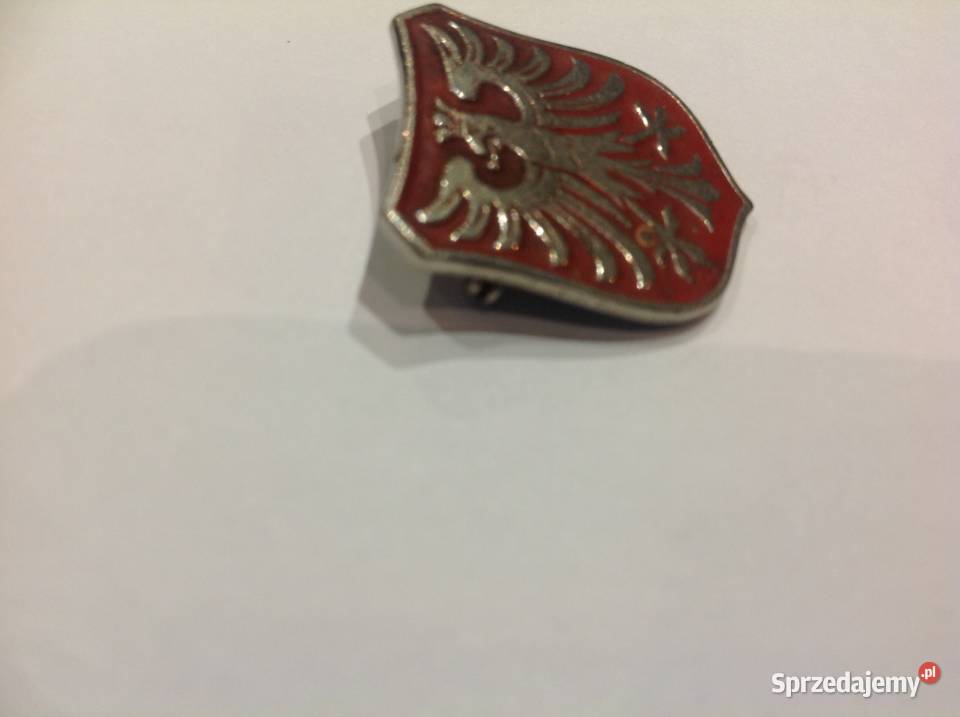 Odznaka Przypinka Metalowa ORZEŁ W TARCZY STARA Nowa Sól