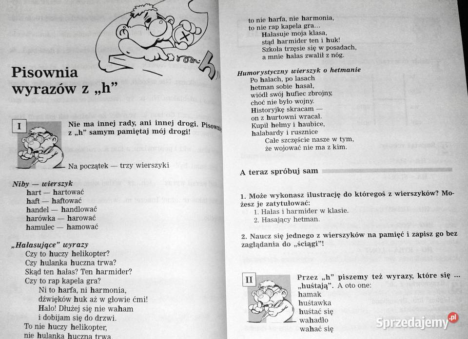 Dyktanda i zabawy ortograficzne Kl 456 Barbara lubelskie Chełm