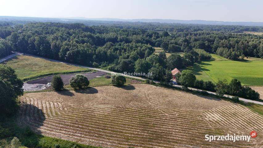 Działkę sprzedam 1300 metrów Borek asfalt sprzedam