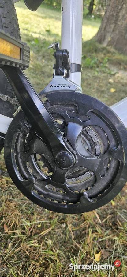 Piękny Rower Romet MTB Dziewczynki Kobiety Stan Pozostałe Nowy Folwark
