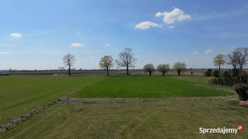 DZIAŁKI BUDOWLANE Dąbrowa gm Lądek powiat